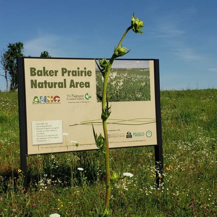 Starting marker with instructions Near Baker Prairie West Trail