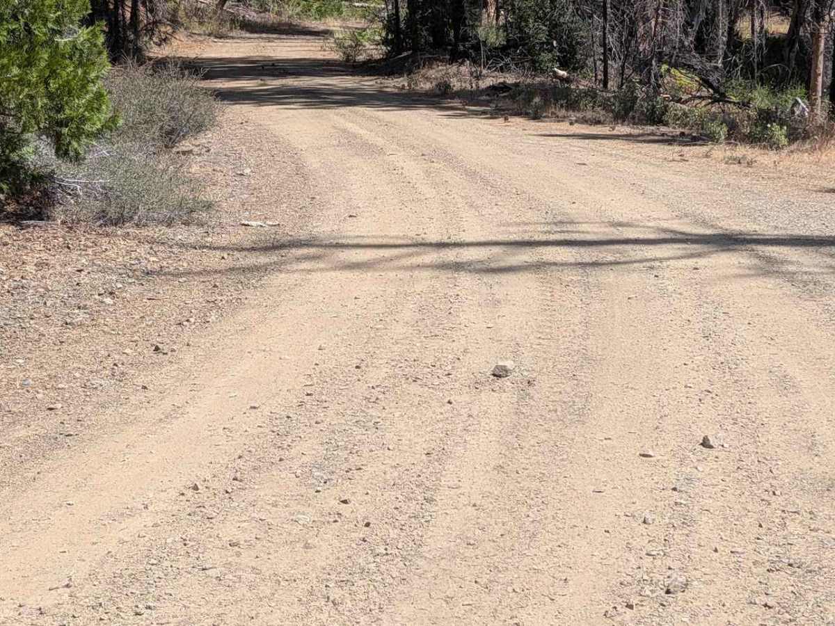 Strong Road - FS 29N39 photo 6
