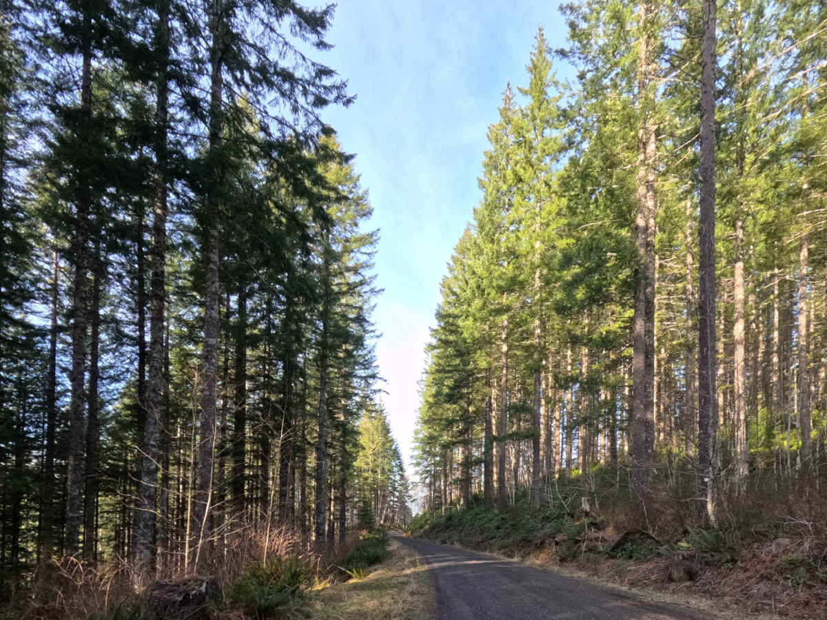Archer  Road photo 4