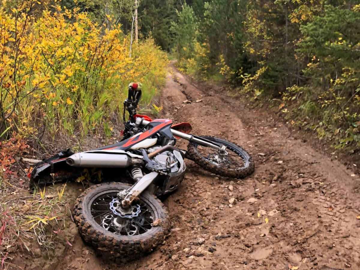 Stewart Trail photo 6