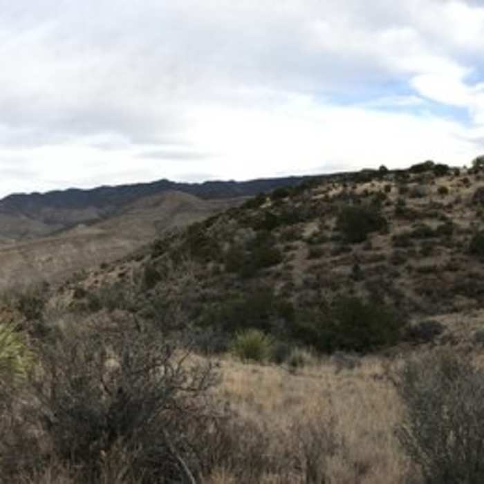 Looking northeast toward Purgatory Canyon. Taken from the junction just before the descent. Near Alamo Canyon Loop