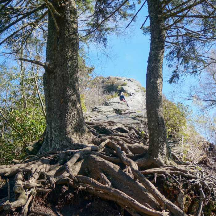 Chimney tops Near Chimney Tops Trail