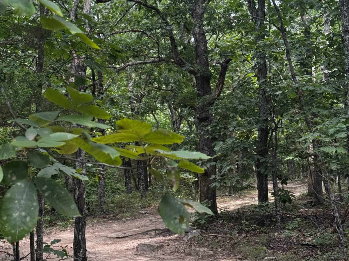 Southern Ridge Run  photo 3