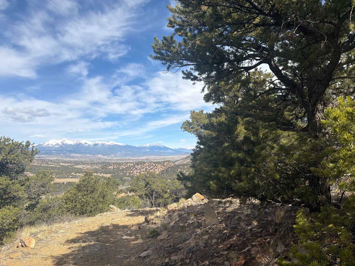 BLM 5971A photo 5