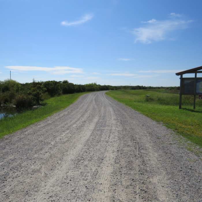 East Dike trail starting on the left hand side of the fork Near Seaside Trail to Dune Trail Loop