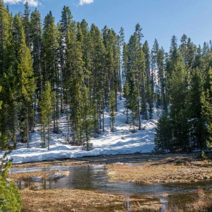 Near Little Gibbon Falls