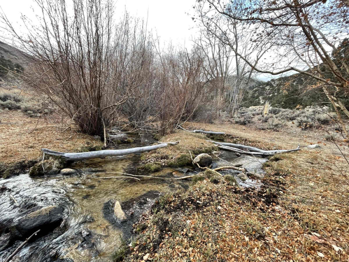 Chiatovitch Creek to Middle Creek trail photo