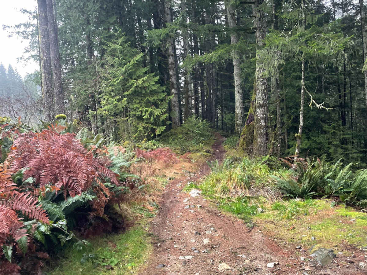 Final Stretch Hill photo 5