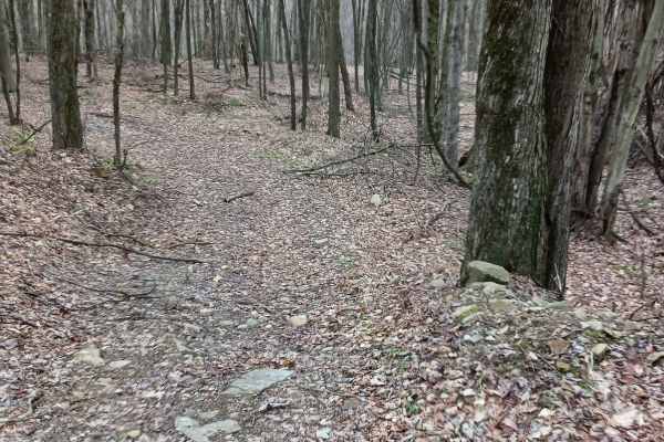 Trail 15C - Rock Run Recreation Area