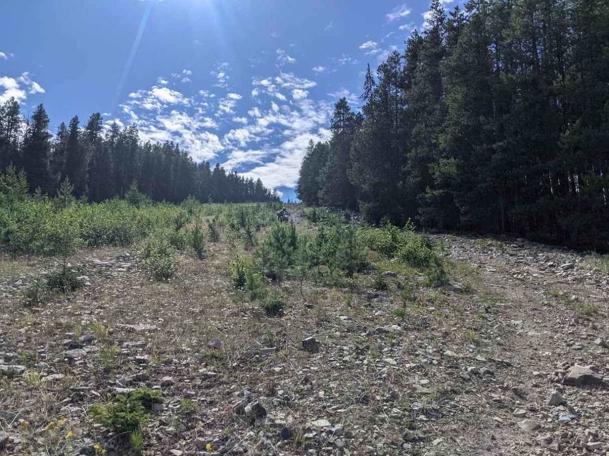 Ferrell East Access photo 4