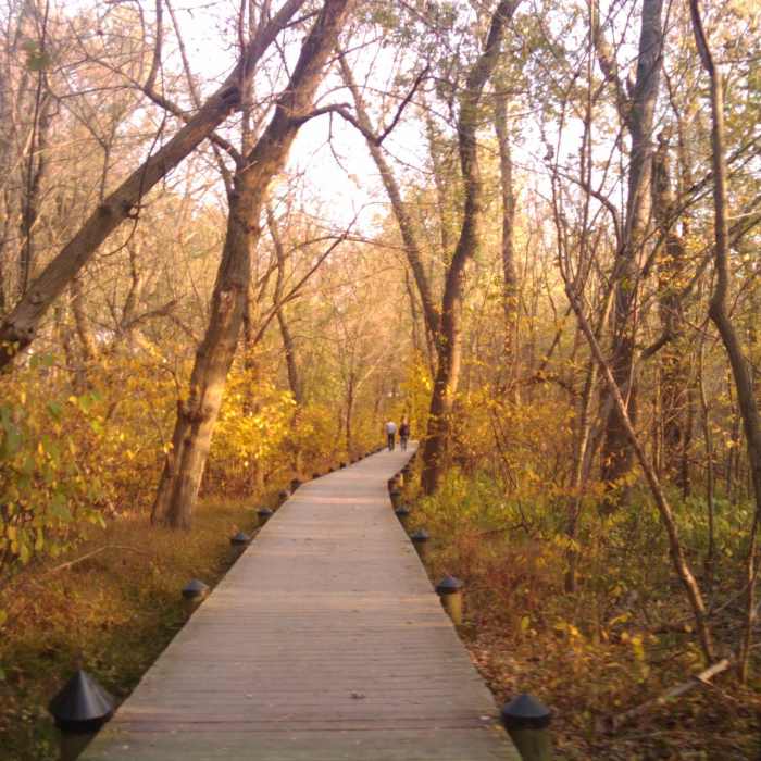 Near Roosevelt Island Loop