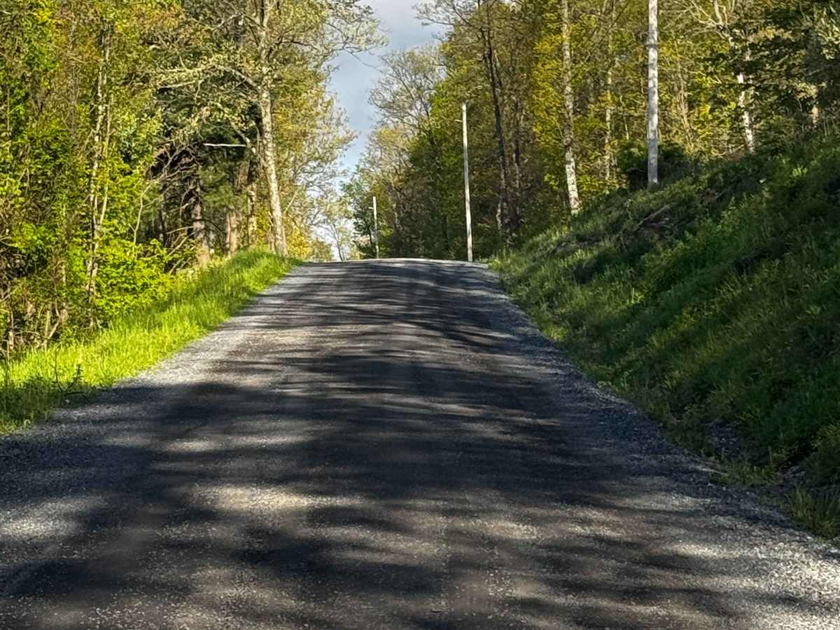 Devils Elbow Road photo 2
