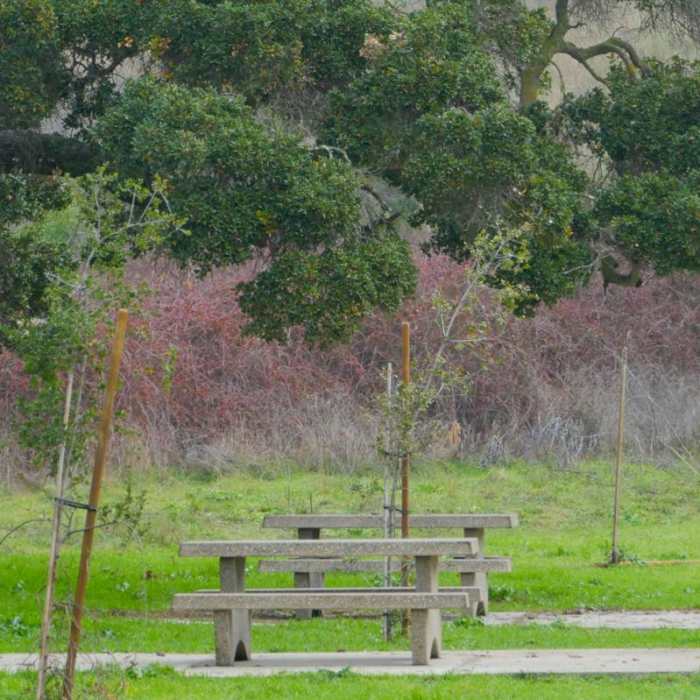 Near Newell Open Space Preserve