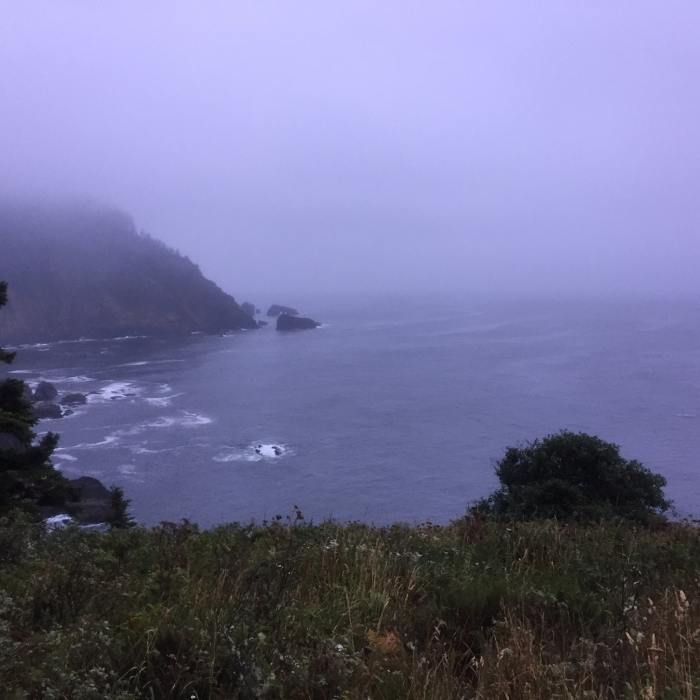 A view of the fog and the ocean from the Hart's Cove Trail Near Hart's Cove Trail
