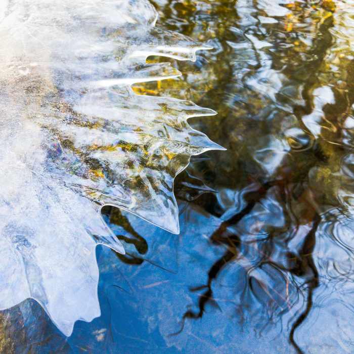 Near Savage Hill Wildlife Management Area