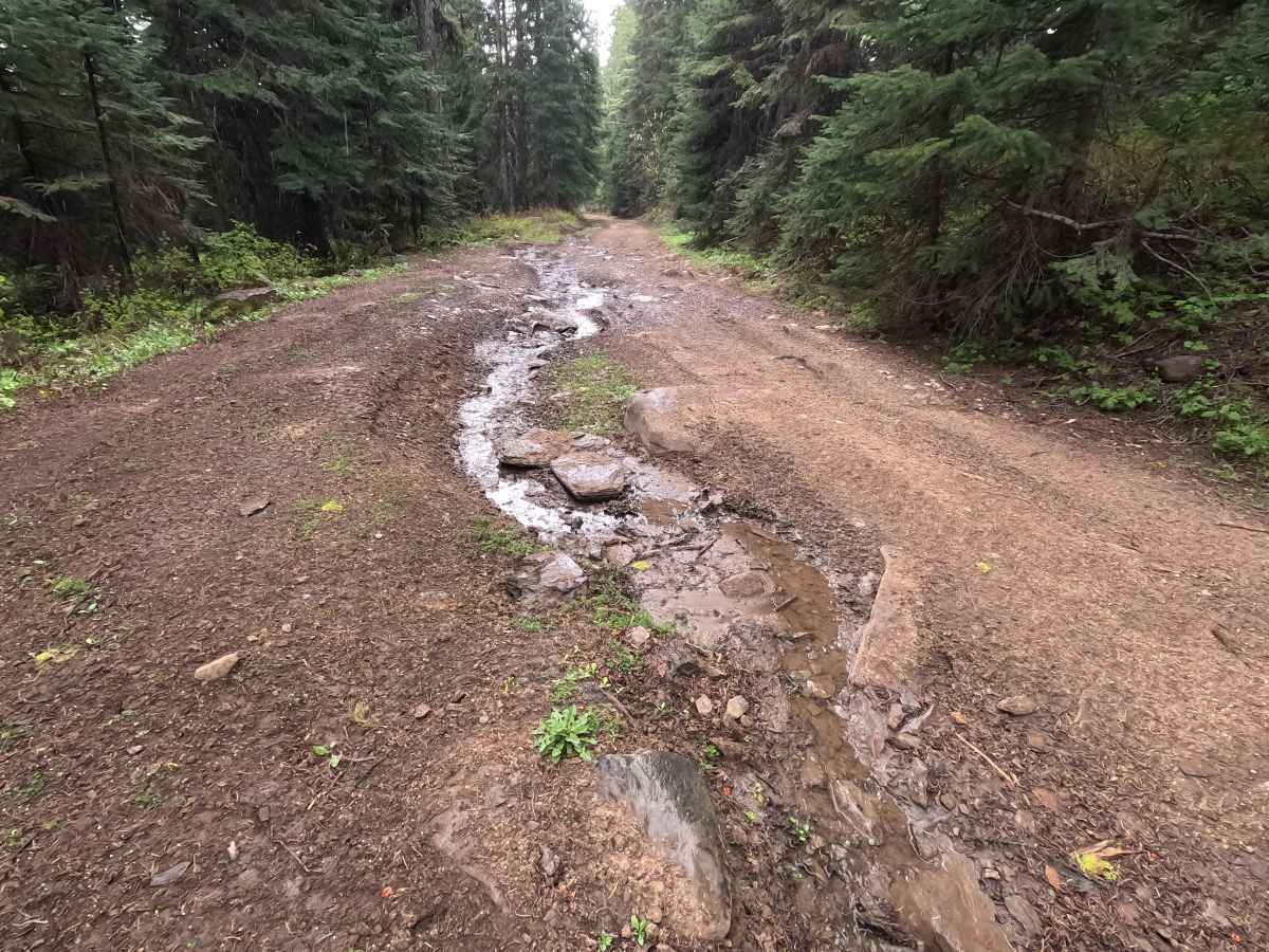 Mount Emily Road - FS 3120520 photo 6