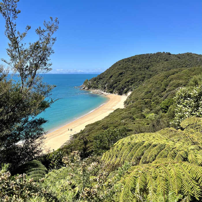 Near Separation Point Trail