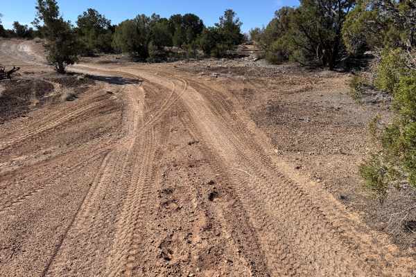 Cow Canyon