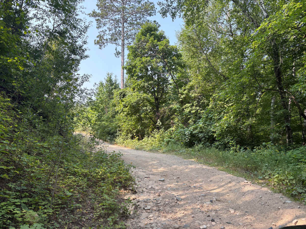 Firetower Overlook photo 2