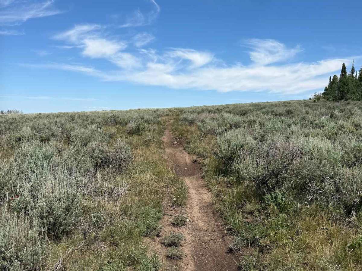 First Fork photo 5