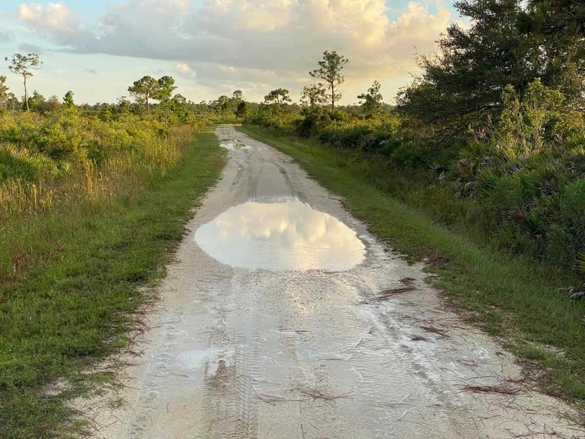 Prairie Creek Preserve trail photo