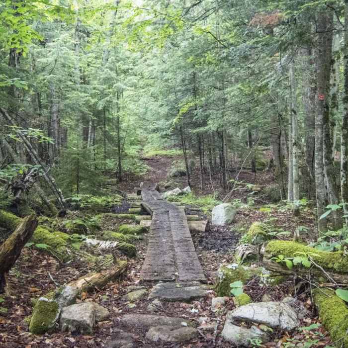 Near Owl's Head Fire Tower Near Owl's Head Fire Tower