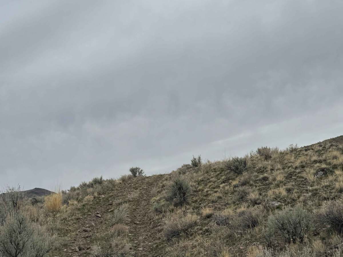 Long Canyon and Devil's Gate photo 5