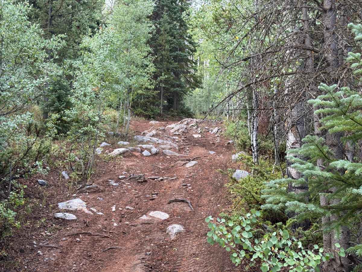 Upper Deadman Road photo 2