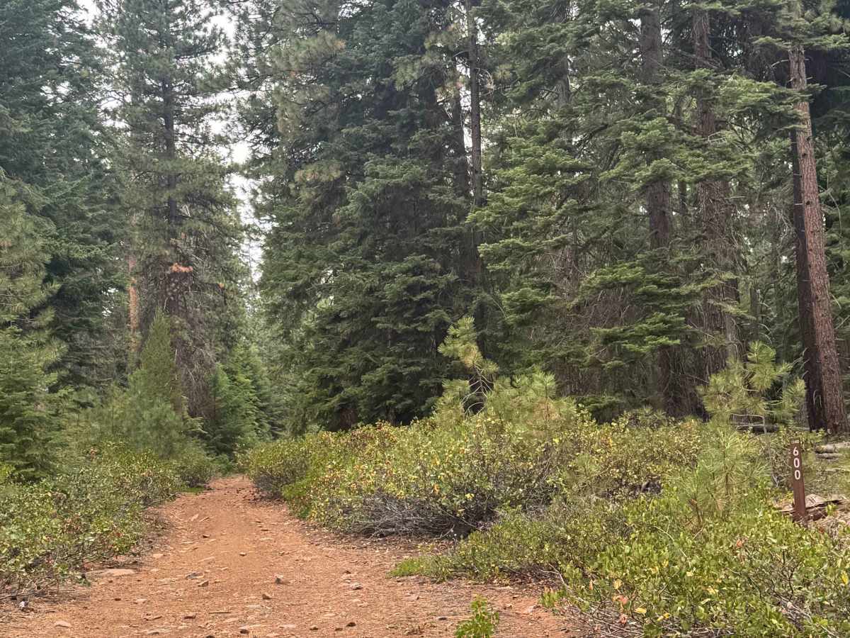 FS 1140-600 trail photo
