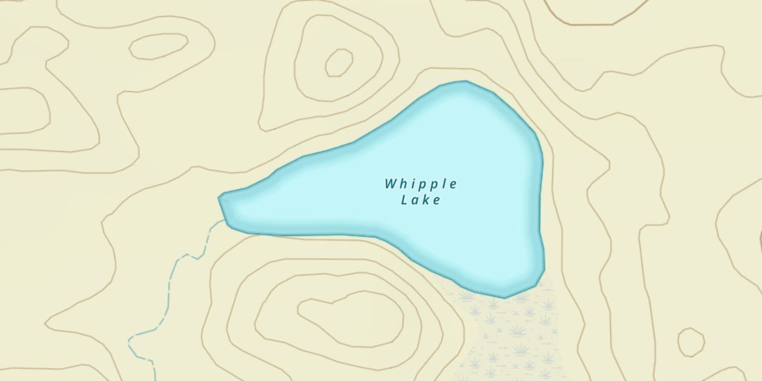 Whipple Lake