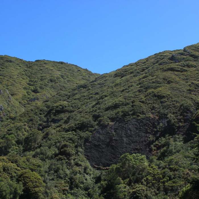 Near Brooks Creek Trail