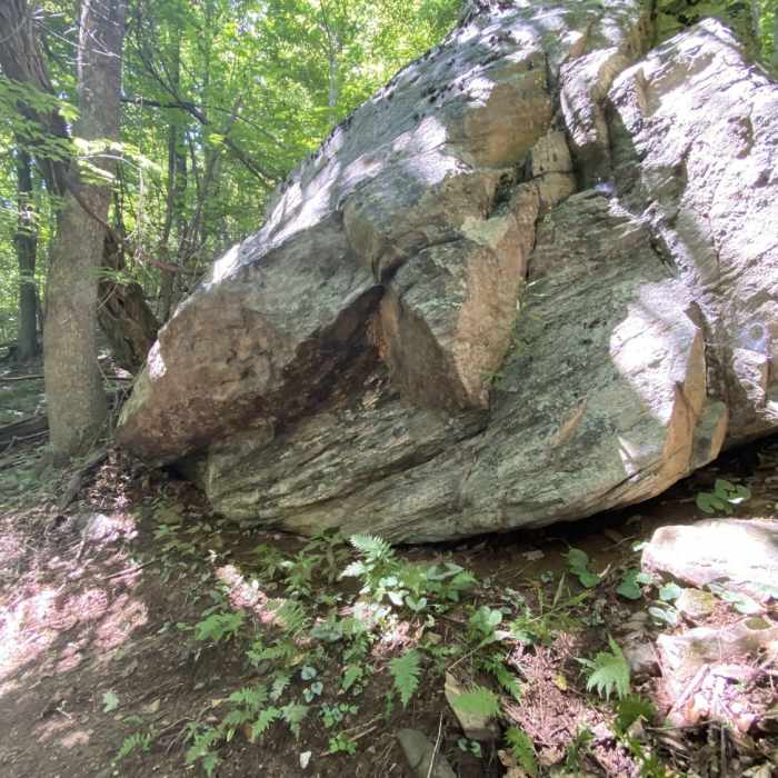 First Boulder you encounter on the trail. Near Bald Mountain Creek Preserve Outer Loop