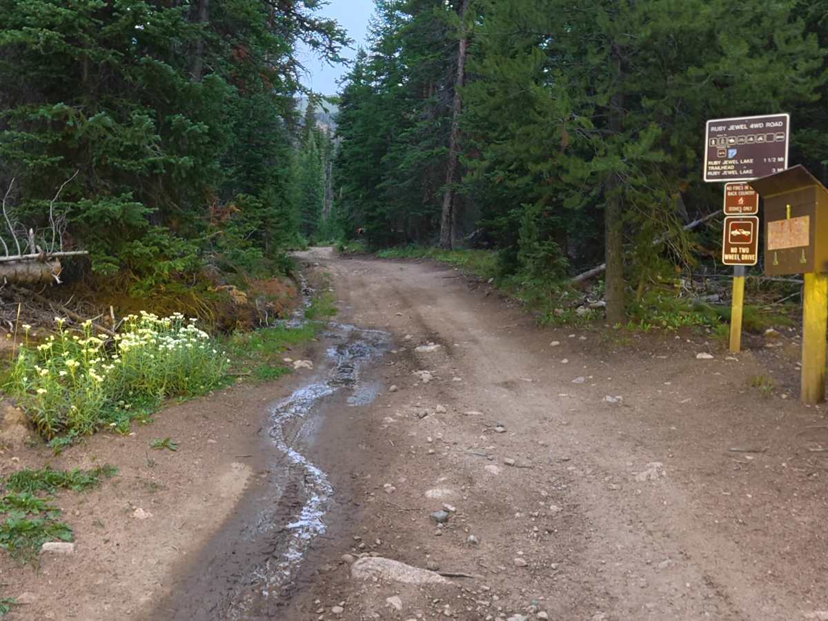 Ruby Jewel Road North trail photo