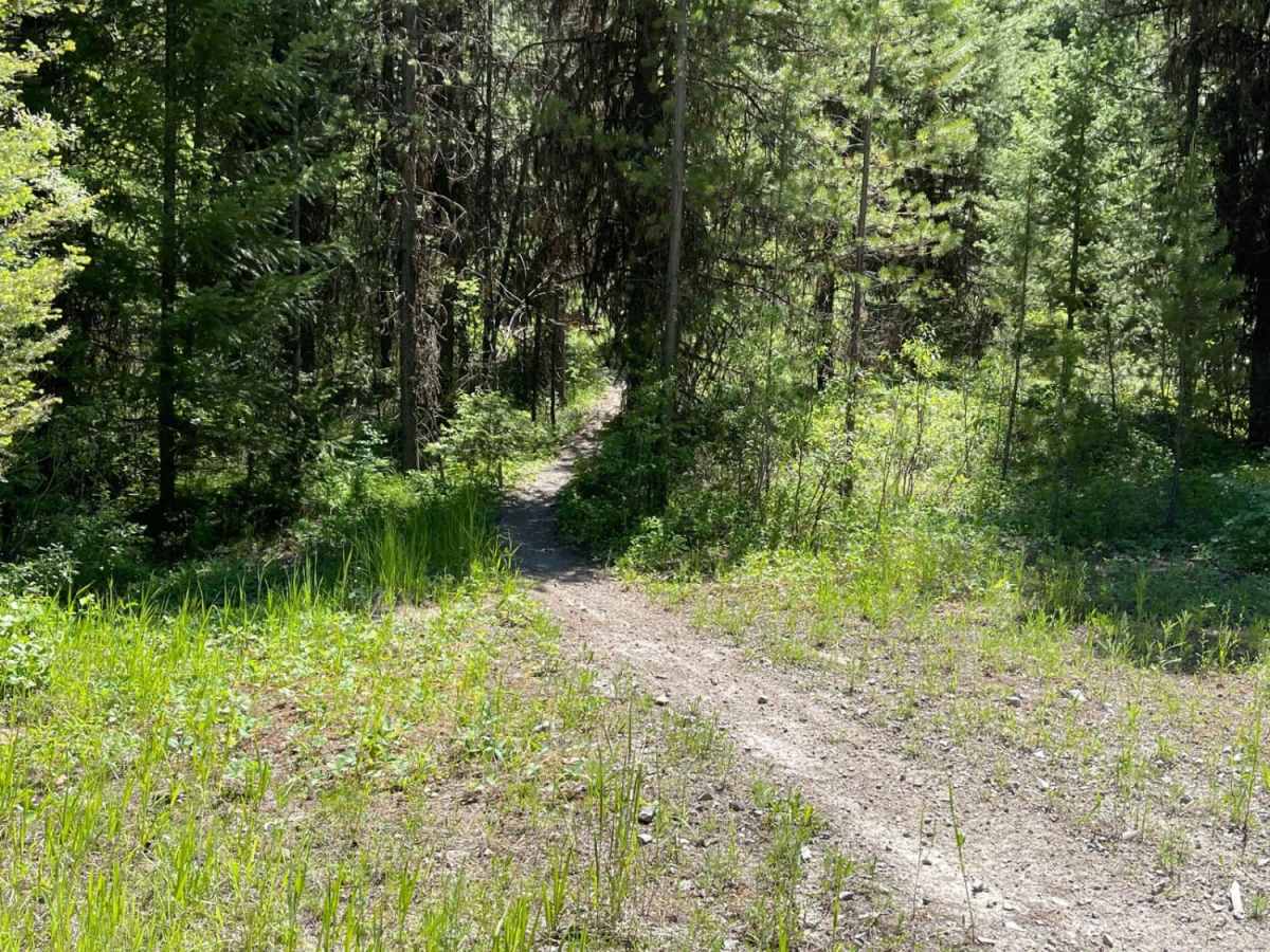 Wallace Spur photo 6