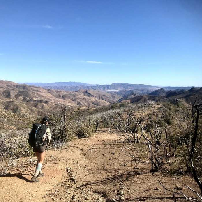 Near West Pinto Trail #212