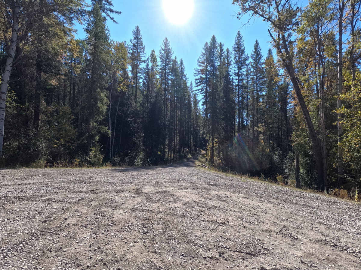 Little Twin Lakes Road - FS 7005300 trail photo