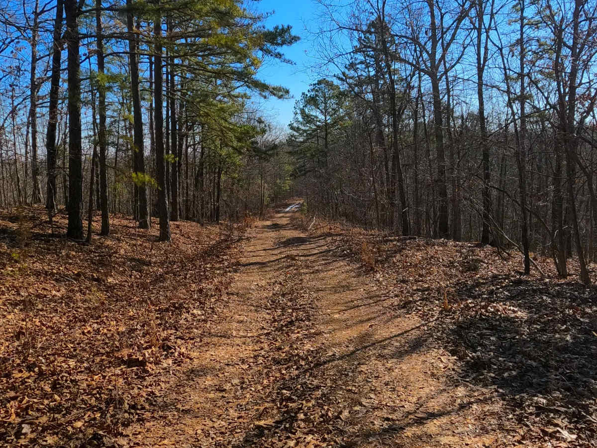 Buzzard Ridge - FS 2677 photo 6