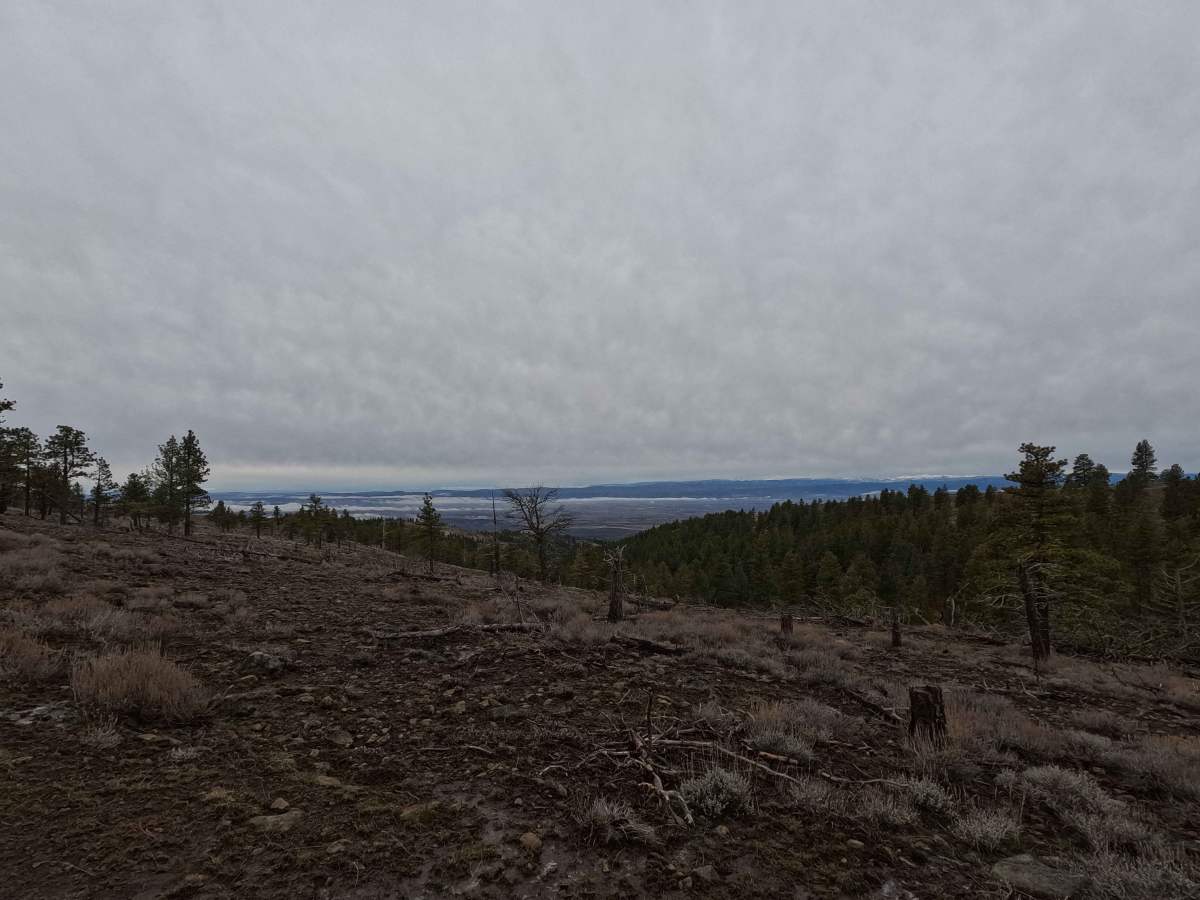 Little Caribou Road photo 4