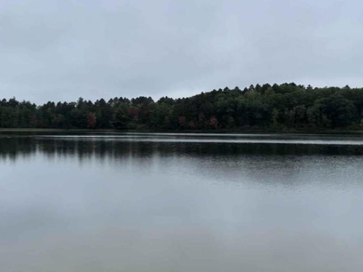 Bull Run Trail photo 2