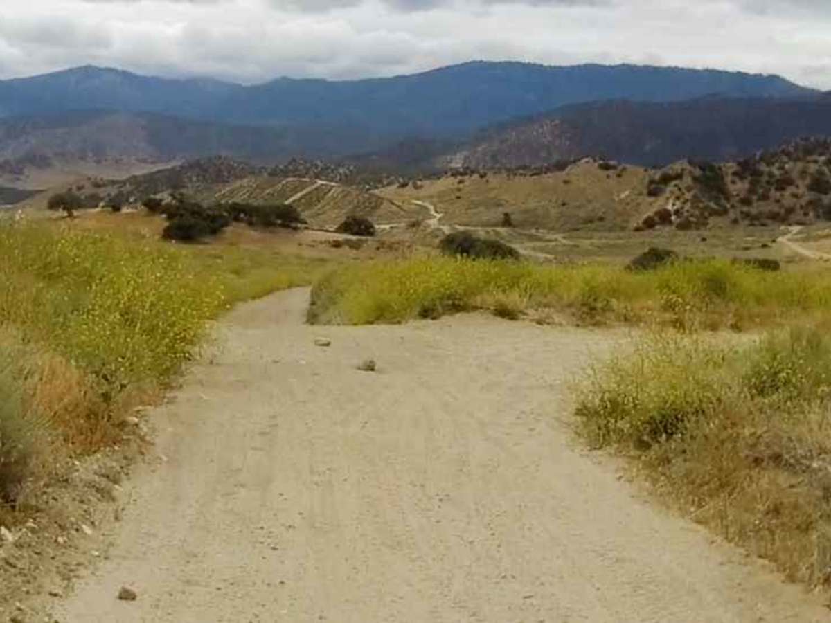Edison Canyon Trail photo 3