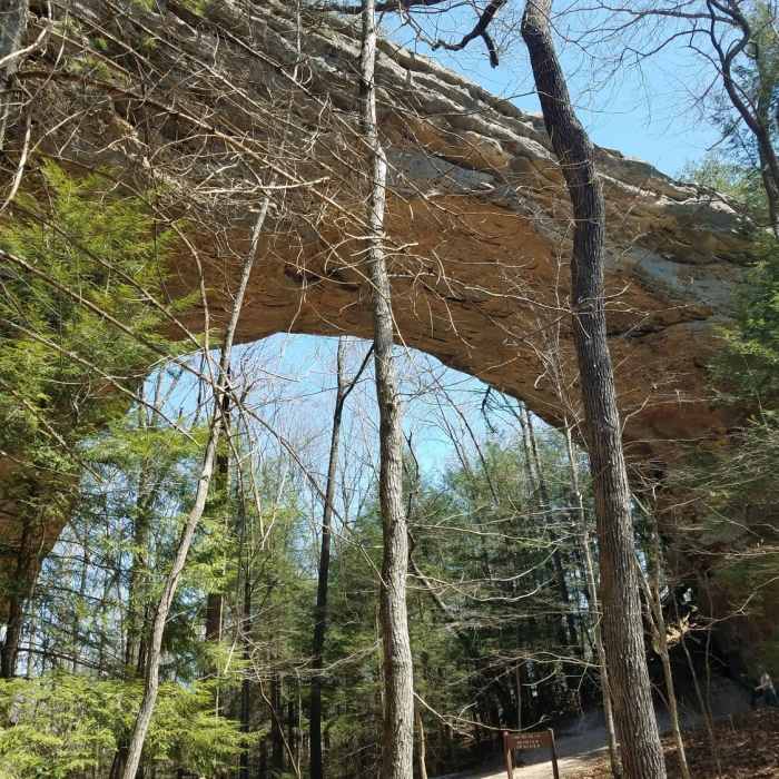 Near 2019 NB100 Training Camp: Day 1