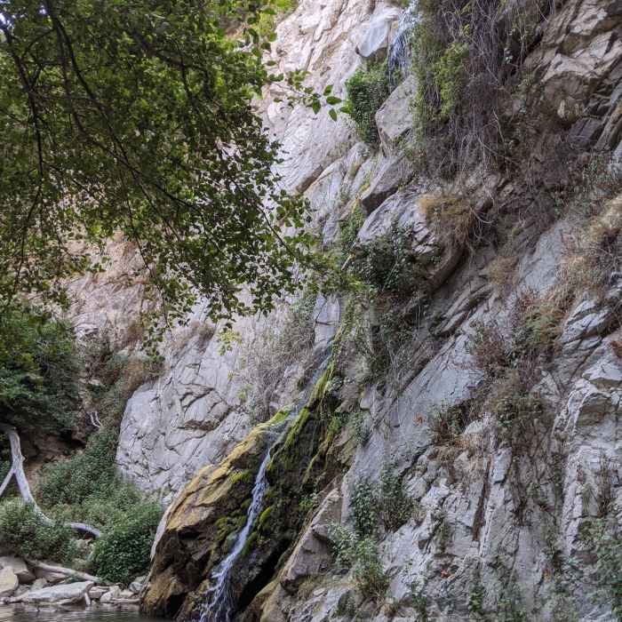 Near Sturtevant Loop Trail #11W14.A