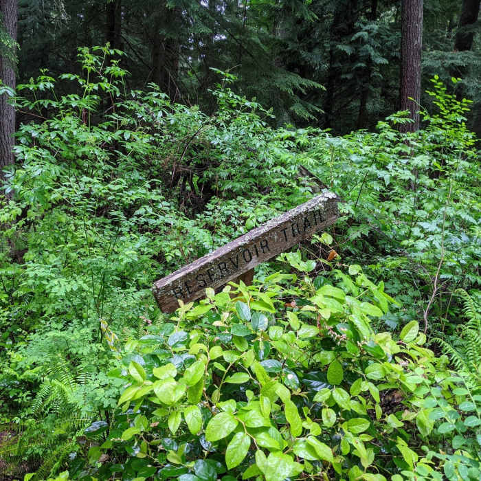 Near Reservoir Trail