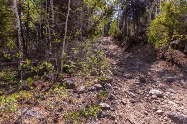 Blind Lake Trail