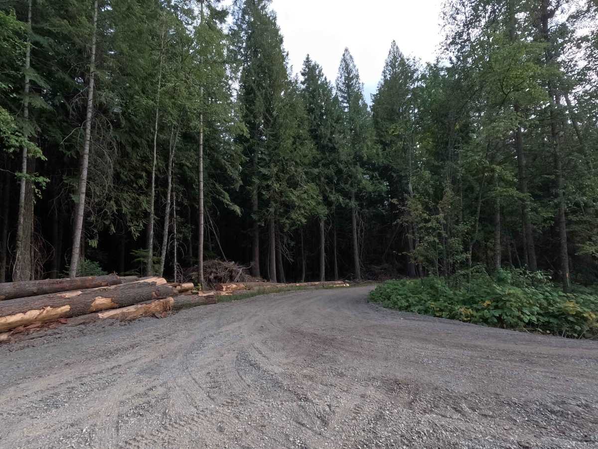 FS 1921035 trail photo