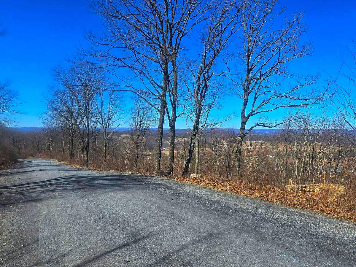 Oak Road photo 5