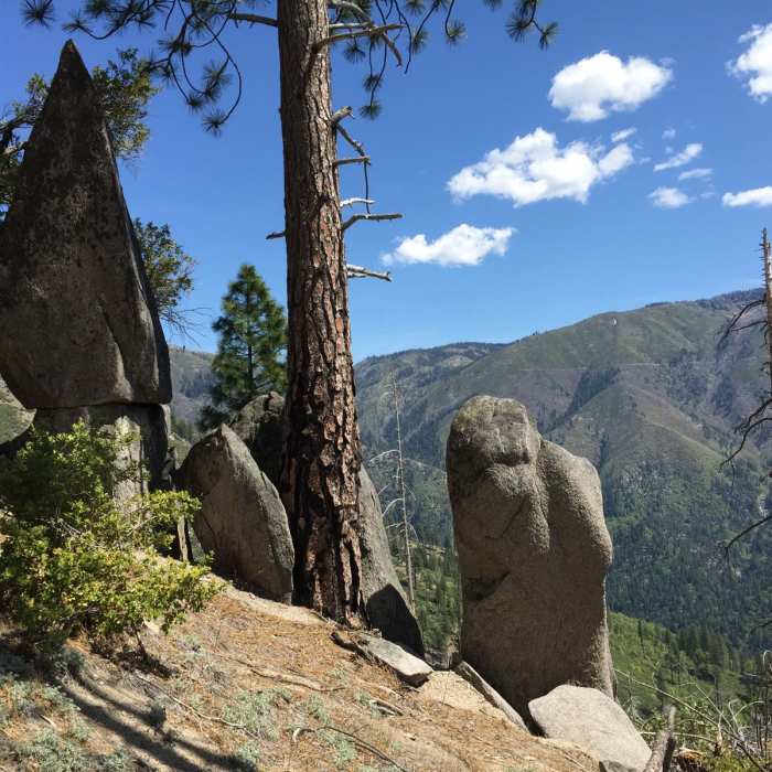 Near Chambers Creek Falls