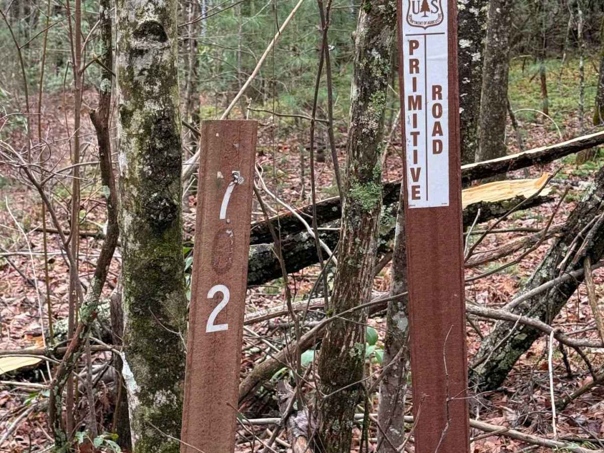Bee Cove West trail photo