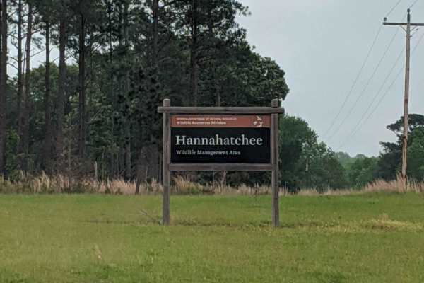 Hannahatchee Creek Trail