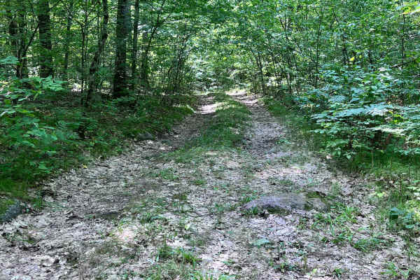 Forest Road 2330B